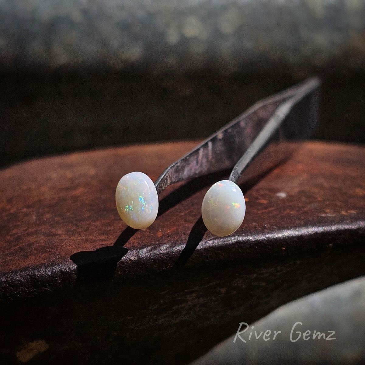 Oval shaped pair of white opals on the end of a pair of tweezers resting on a weathered shoe anvil and 'River Gemz' watermark in the bottom right hand corner.