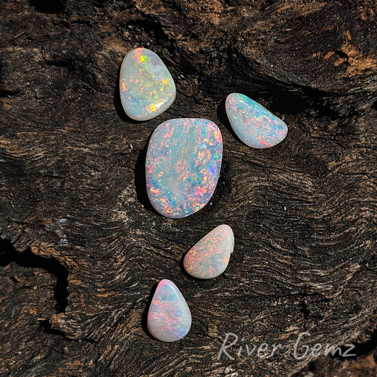 Five vivid multi-coloured light opals contrasted against dark coloured wood. Larger opal is centred with two smaller ones above and below it.