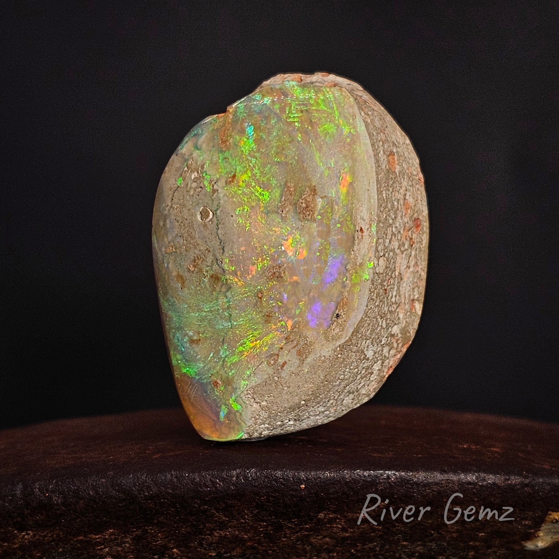 Opalised shell fossil with multicolored play of colours on a dark background, branded 'River Gemz'.