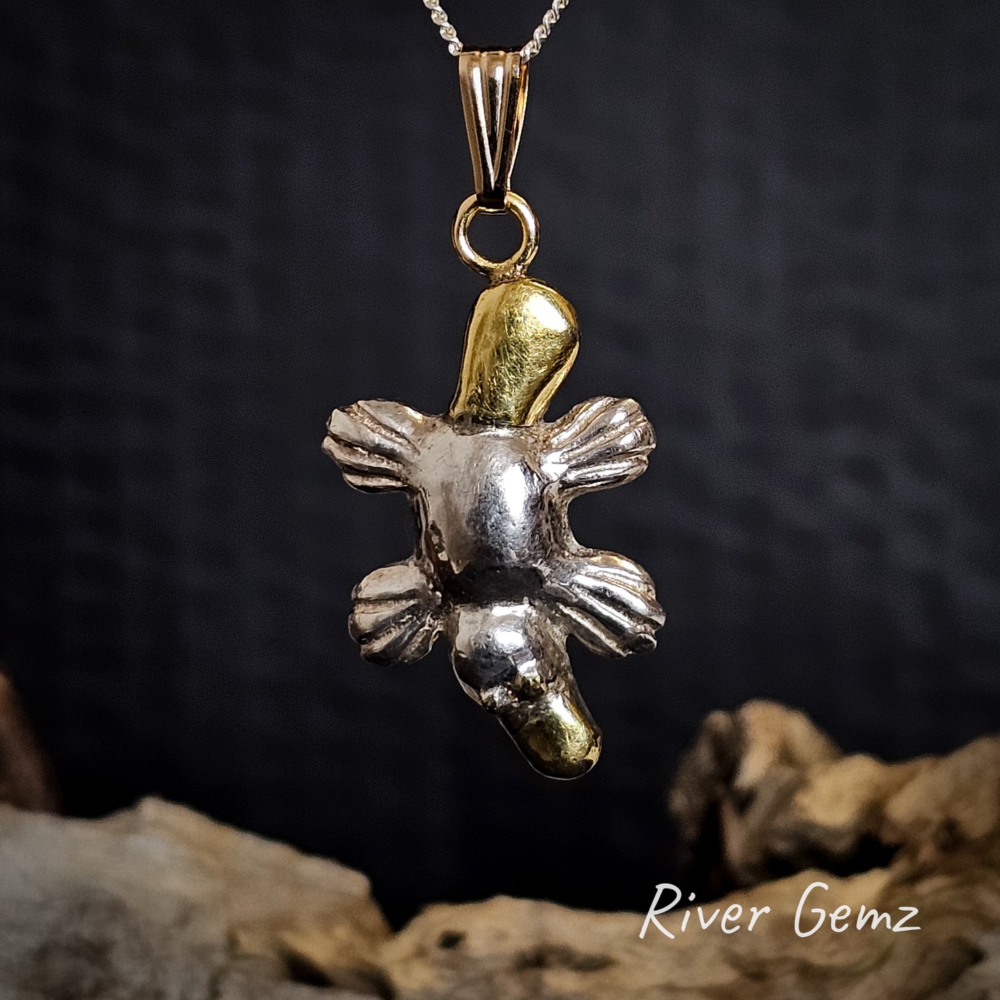 Platypus pendant on a silver chain.