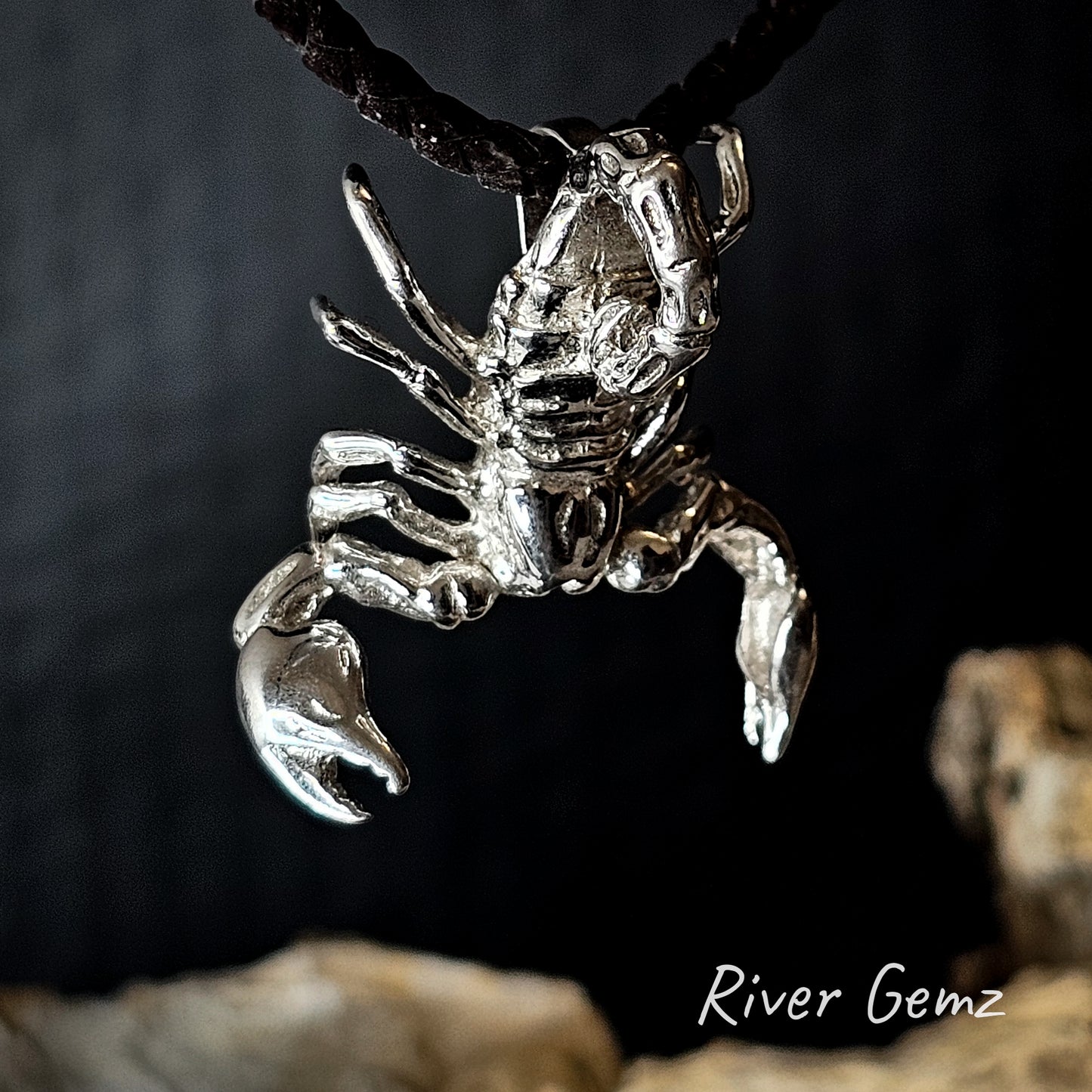 Silver scorpion pendant on a brown leather cord with a blurred natural background.